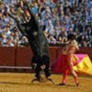 Meet your Posher, Ian